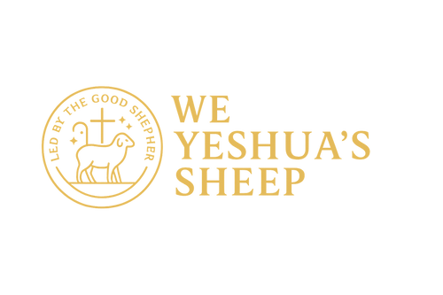 We Yeshua's Sheep